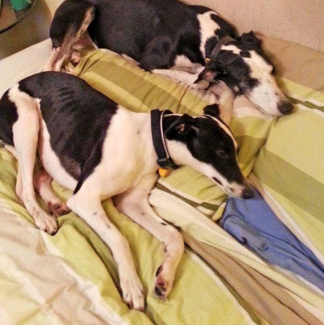 Apple realxing with their new family