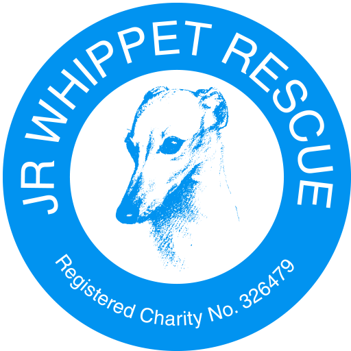 JR Whippet Rescue