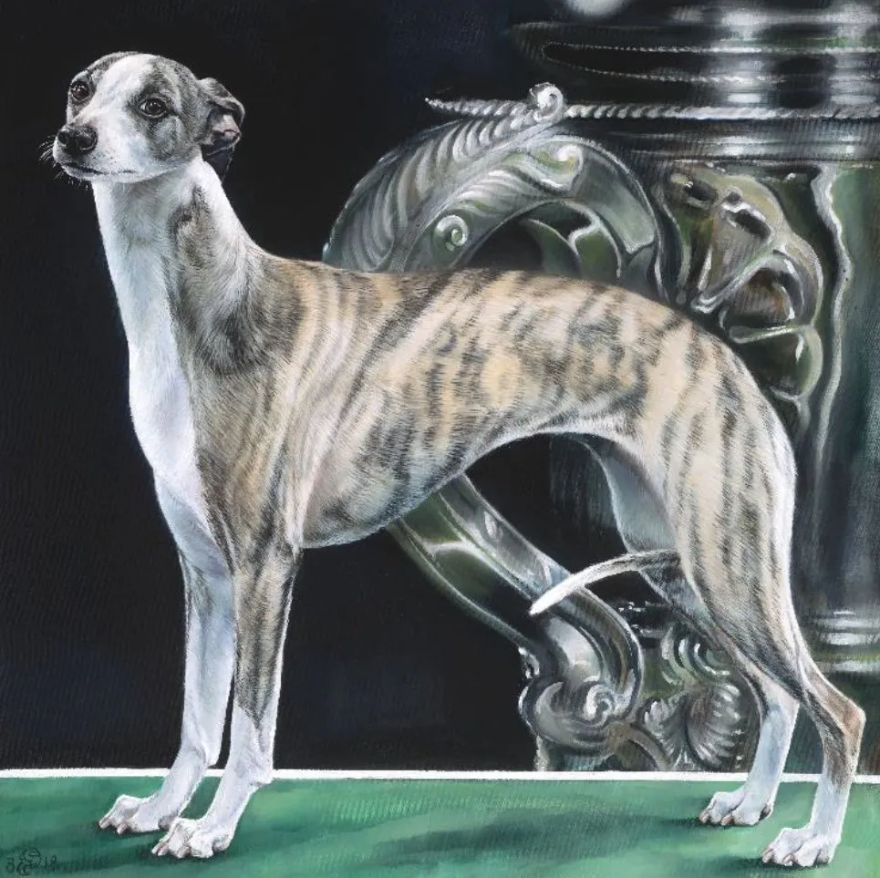 Sara Abbott painting - A portrait of whippet winner of Best in Show at Crufts