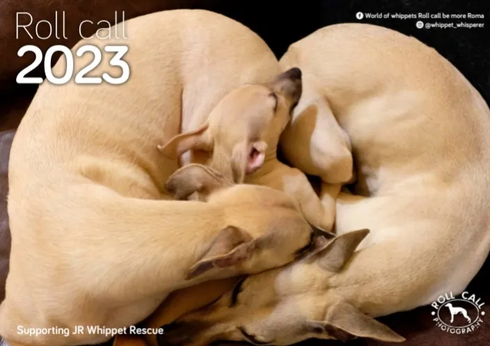 Roll Call Calendar 2023