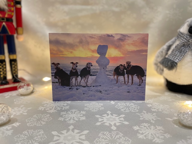 Christmas Card - Sunset on Wasely Hills
