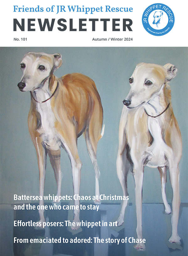 Friends of JR Whippet Rescue newsletter