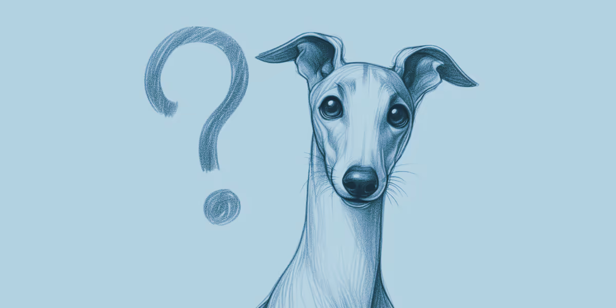 JR Whippet Rescue News FAQs