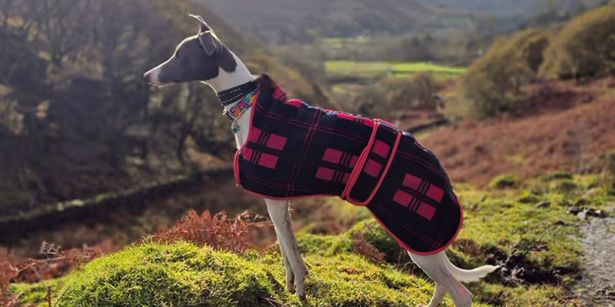 Social Media Education Featured