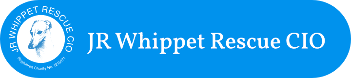 JR Whippet Rescue CIO