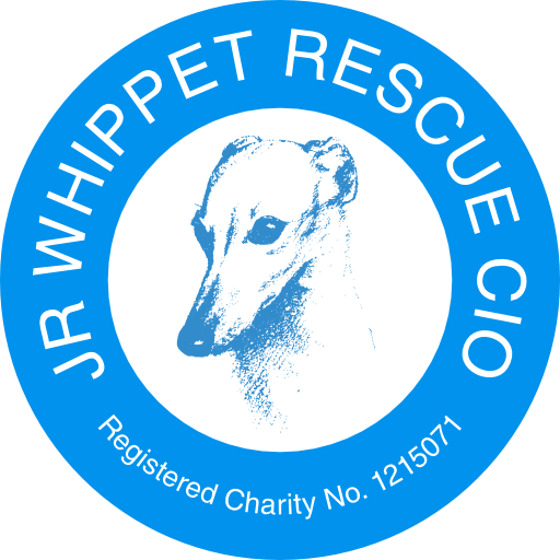 JR Whippet Rescue CIO