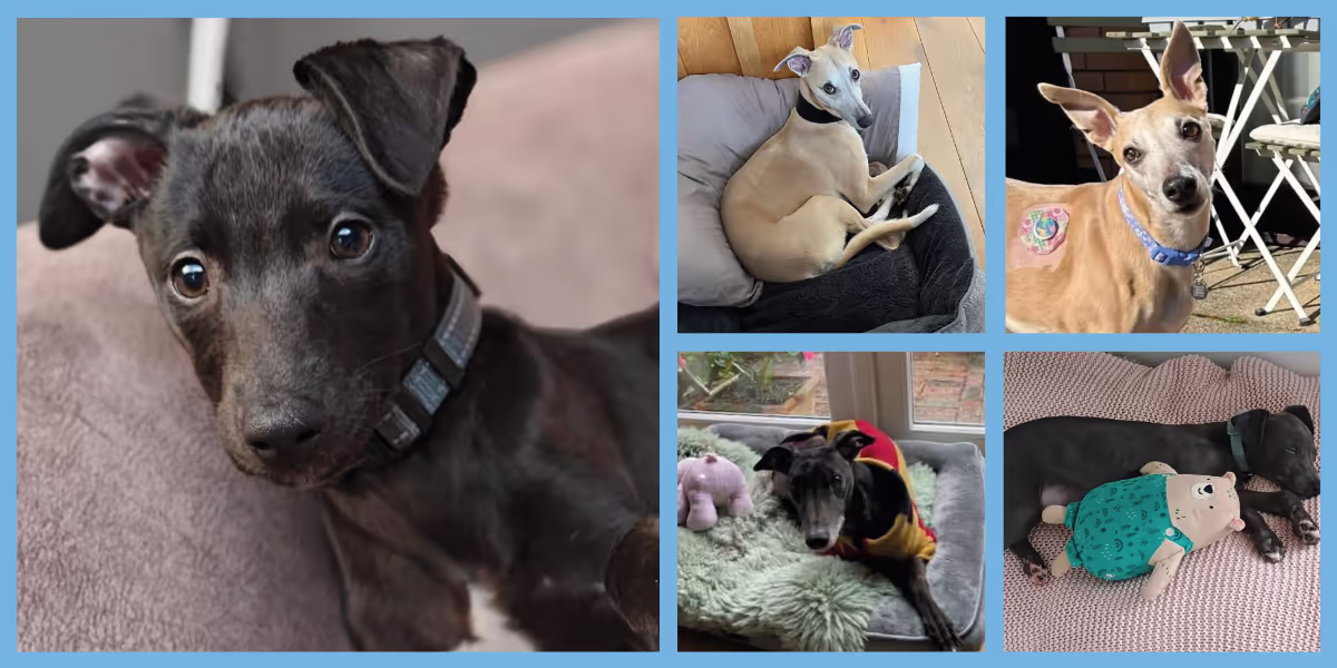 2026 March Roundup Featured