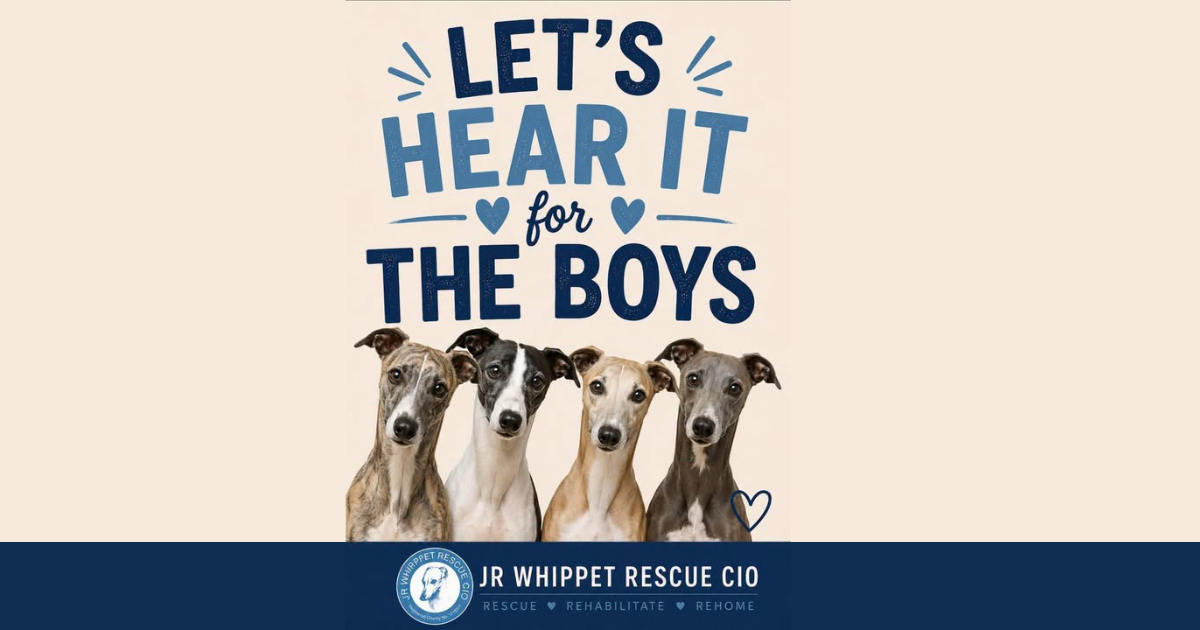 Lets Hear it For The Boys Featured Image